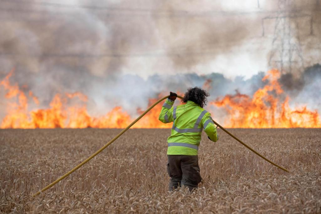 slb-22-marlesford-field-fire-11-data.thumb.jpg.8a78f489c8380b3f1d3be728e741c8f1.jpg