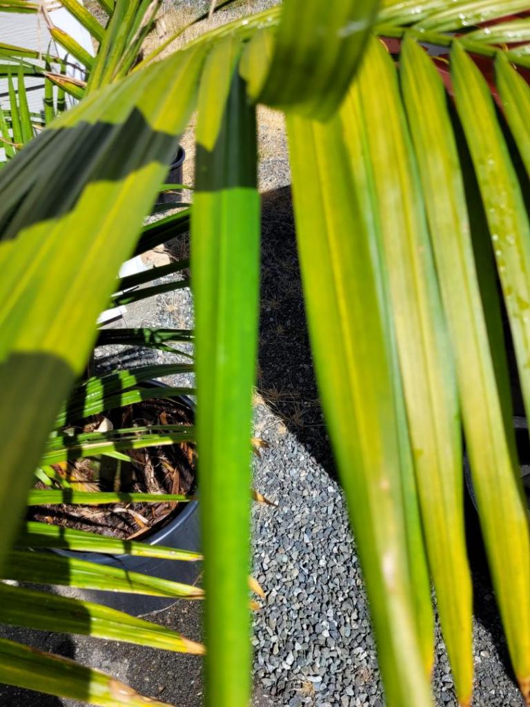 20220808_150642.jpg