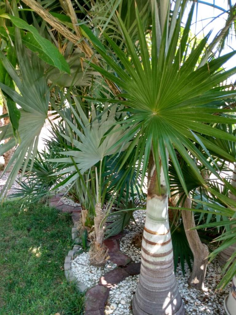 IMG_20220814_141619883_HDR.jpg