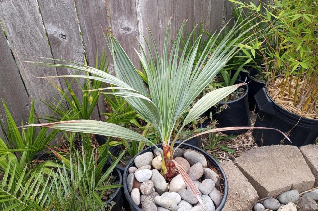 IMG_20220915_084717.jpg