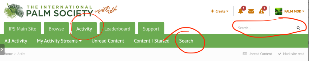 Search.png