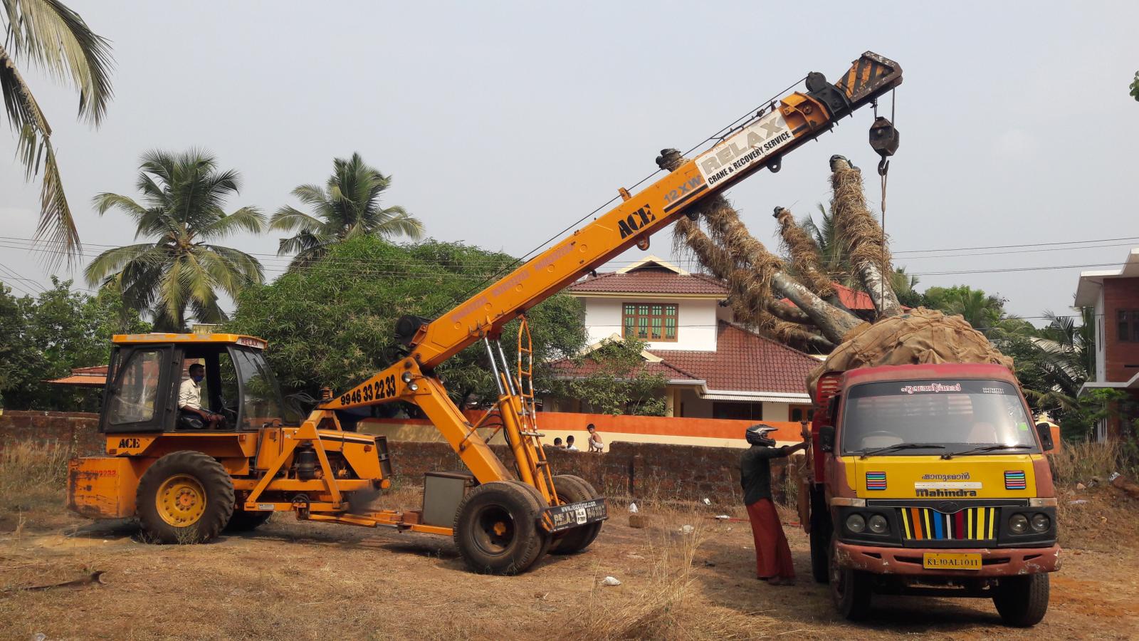 Tree transplantation Tree relocation Plant nursery in Ponnani Malappuram Kerala India