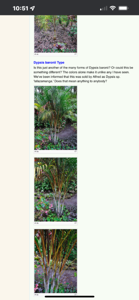 24FD50BB-3D98-45F9-AB83-84275315D038.png