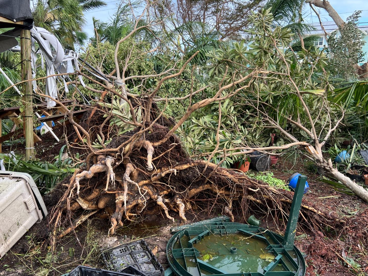 Storm Damage to Garden Lot from Hurricane Ian