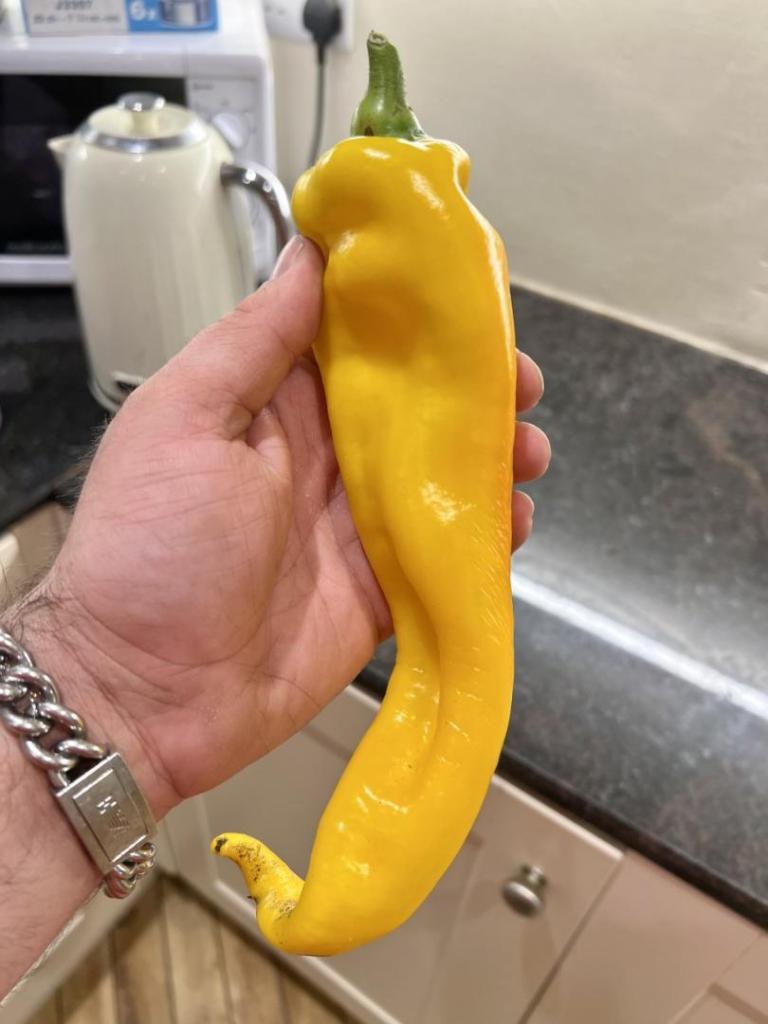 936808087_thumbnail_image2(16).thumb.jpg.7b1d459fd1c53c894800fc0e820f5ead.jpg