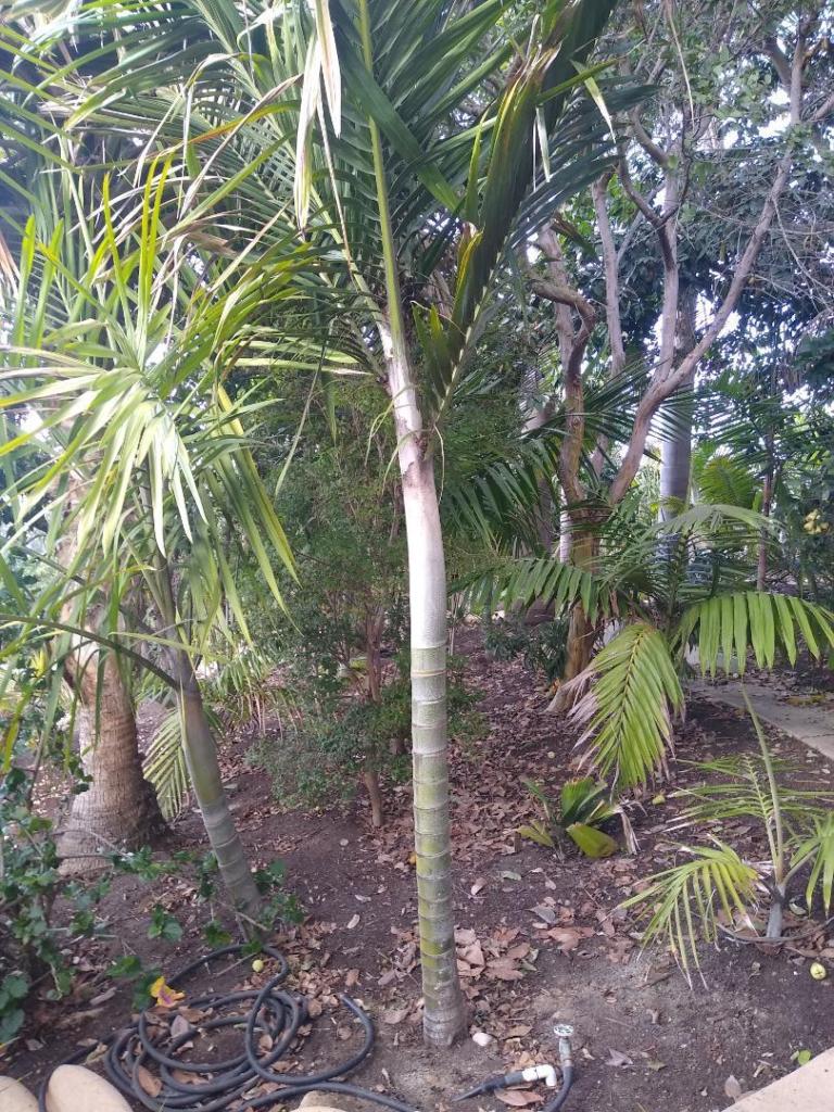 image.thumb.jpeg.8dc78d6820b471e0e019c2a95fd095f9.jpeg