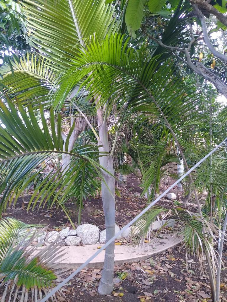 image.thumb.jpeg.91abcd4668d210a0650fa87d84783746.jpeg