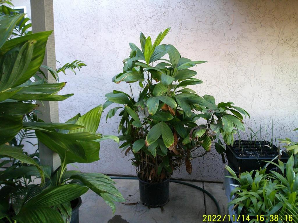 DSCF0379.JPG