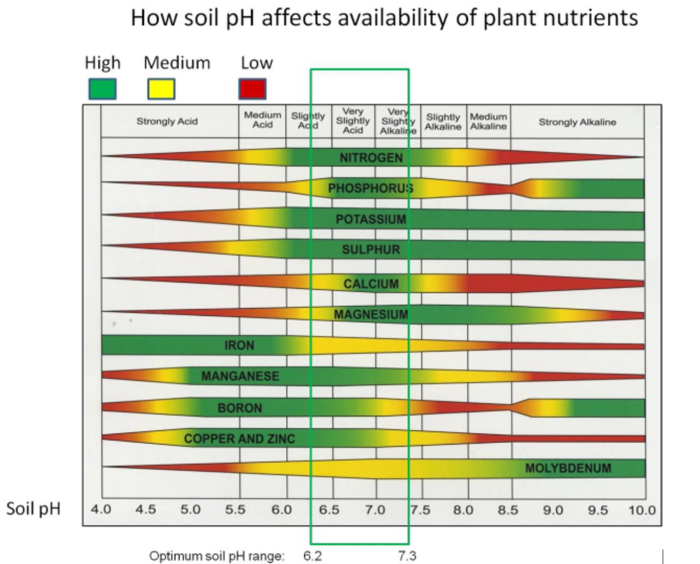 451208973_NutrientssoilpHandavailability.png.78662baa370263a70b425ec15f58615e.png