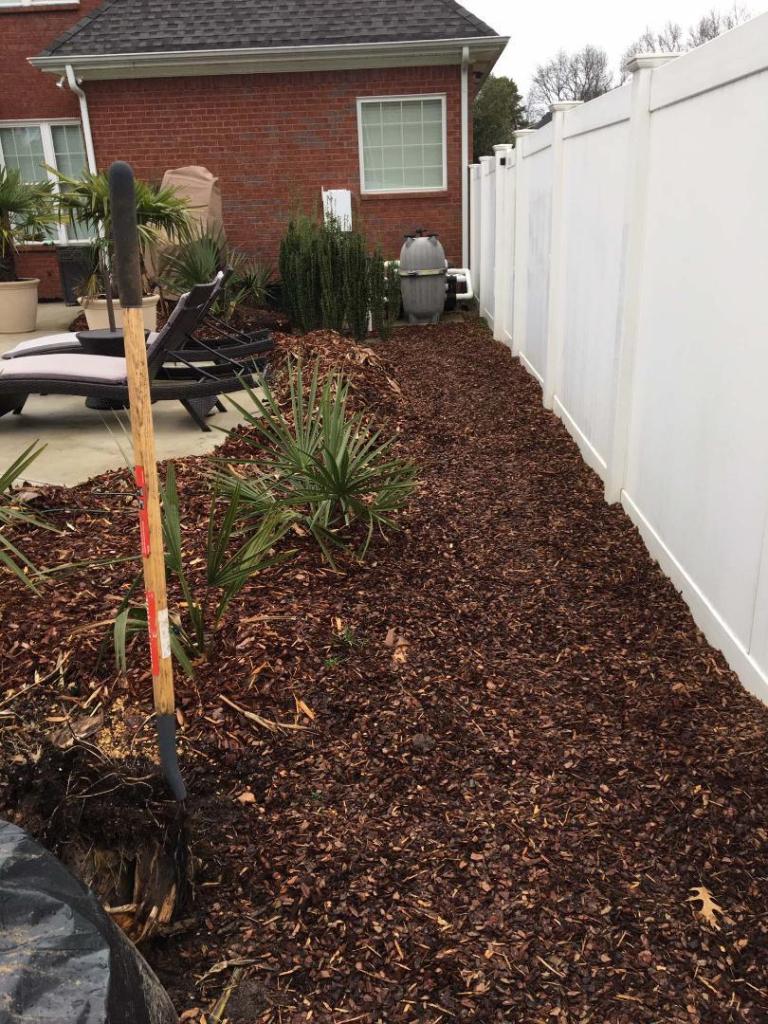 side path 2019 .jpg