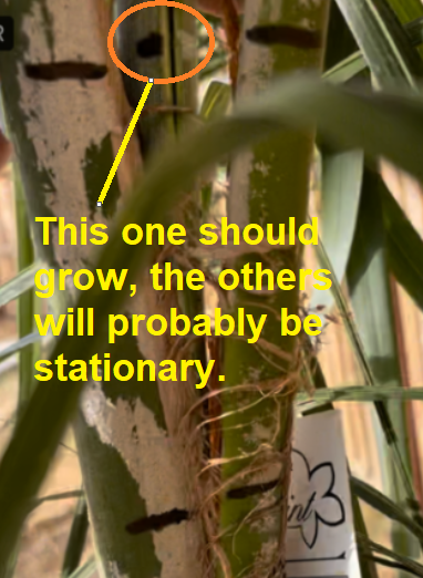 image.png.d3037242eb9c5d01c016a8f0e05f5926.png