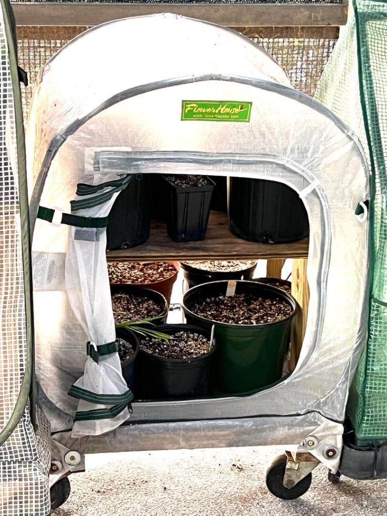 685143794_MiniGreenhouses0603-09-23.thumb.JPG.1e8bbd31b6be6985f99d9fc105b395f7.JPG