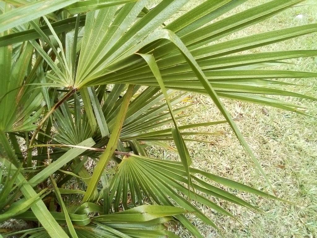 IMG_20230327_091456.jpg