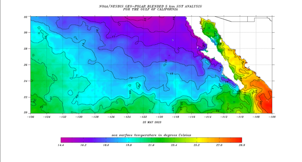 1847415730_Screenshot2023-05-26at13-25-00gulfcalf.c.gif(GIFImage18781004pixels)Scaled(60).thumb.png.bb23d02c6f4fdabae7aa9f8dfb6d533f.png