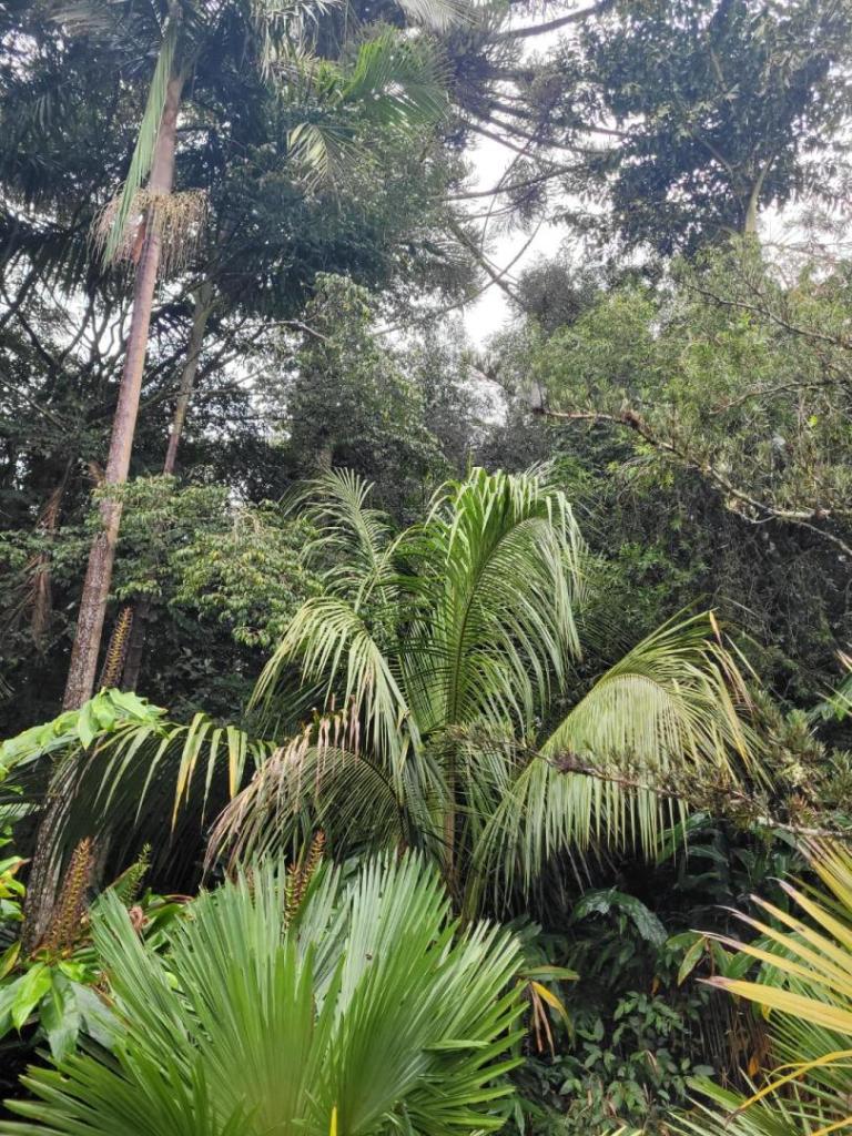 20230529_084432.jpg