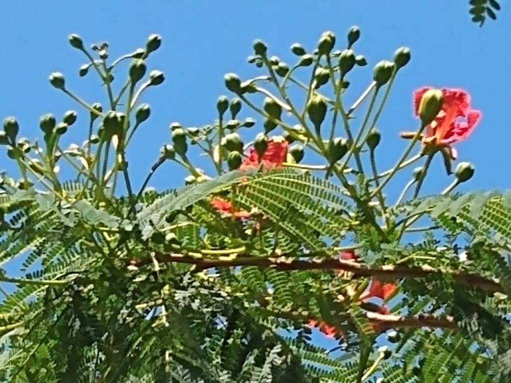IMG_20230520_104030451.jpg