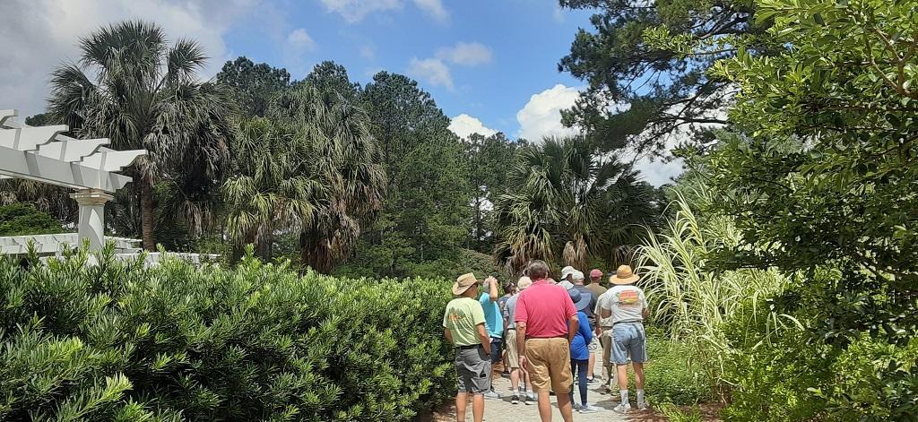 0018_Sabal_palmetto_Podocarpus_crew.jpg.fa5fc9a64526aebf82af8def68f781d8.jpg