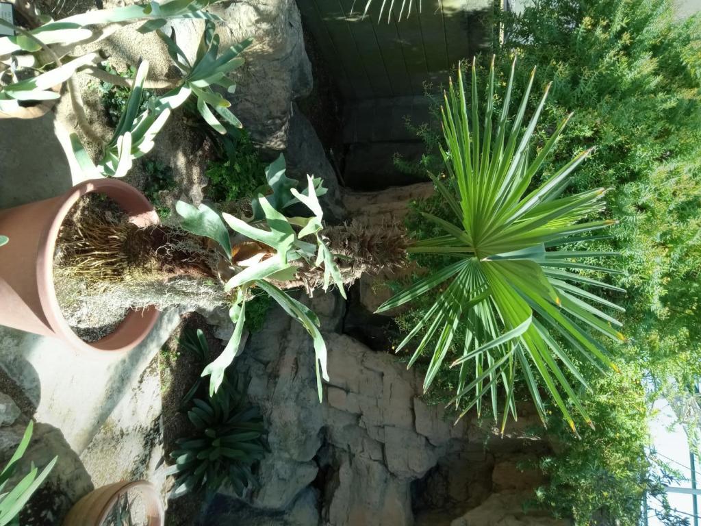 20230618_153125.jpg