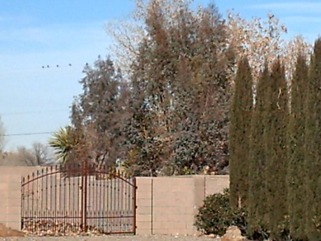 PICT0015.JPG