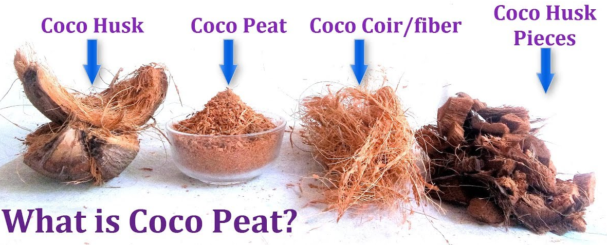 Comparison Between Peat Moss and Coco Coir