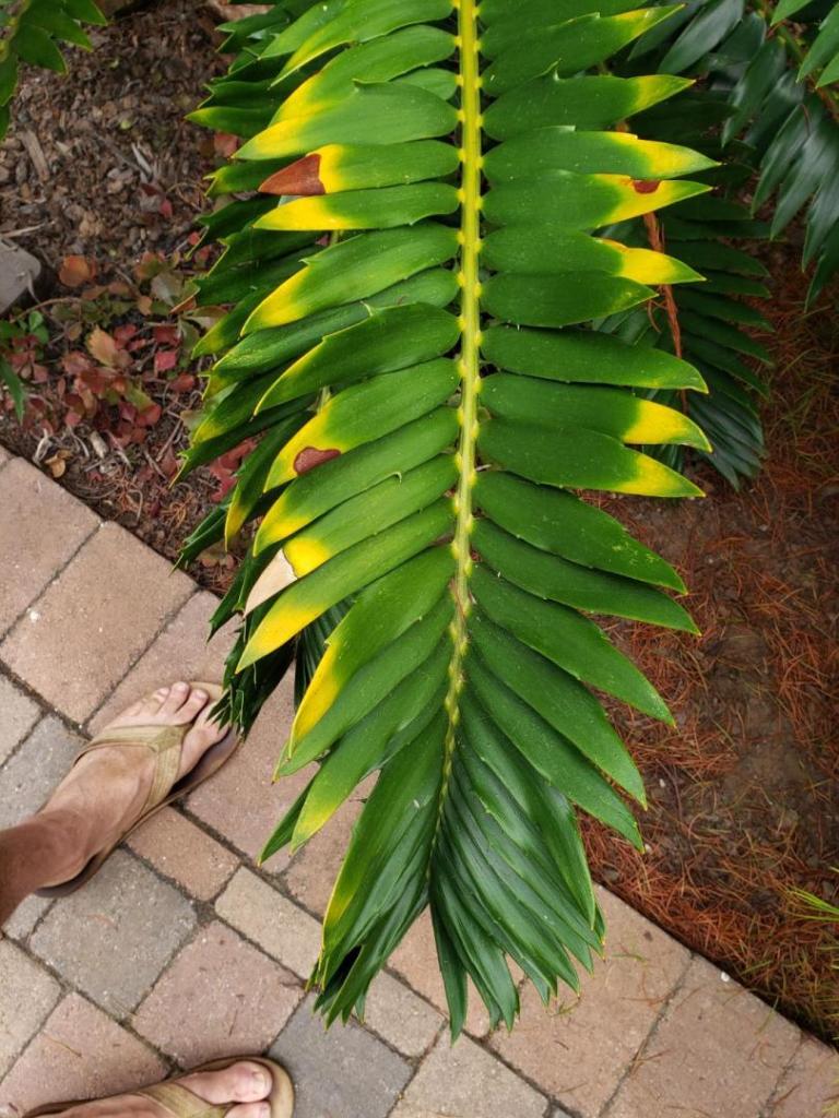 20230711_080247.jpg