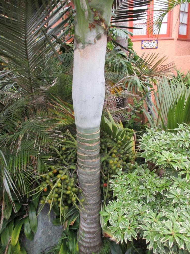 IMG_0596.JPG