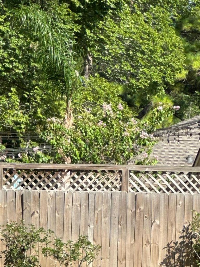 IMG_9460.jpeg