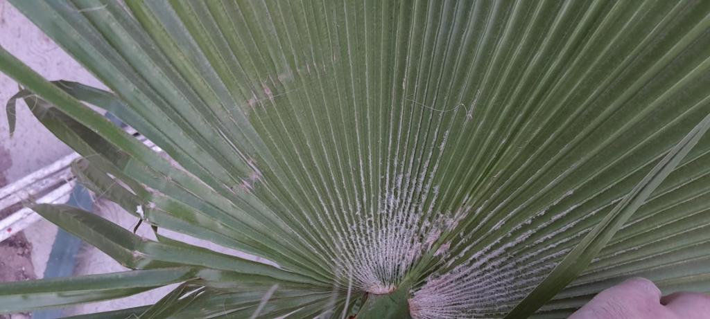 20230726_070009.jpg