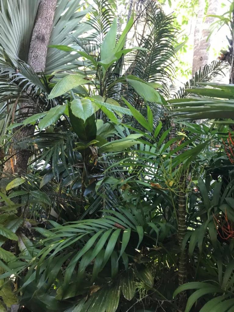 IMG_1479.jpeg