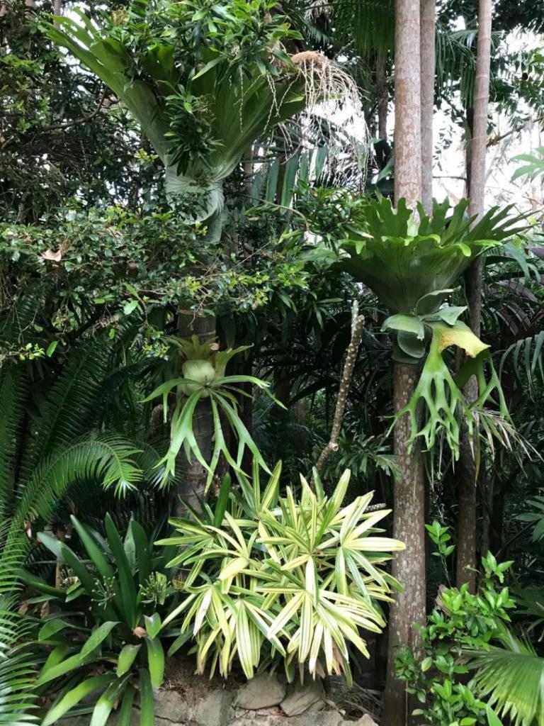 IMG_3342.jpeg