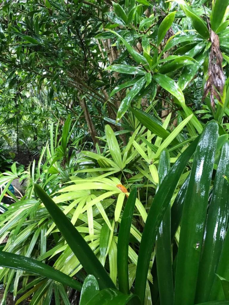 IMG_5096.jpeg