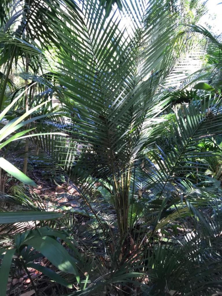 IMG_8195.jpeg