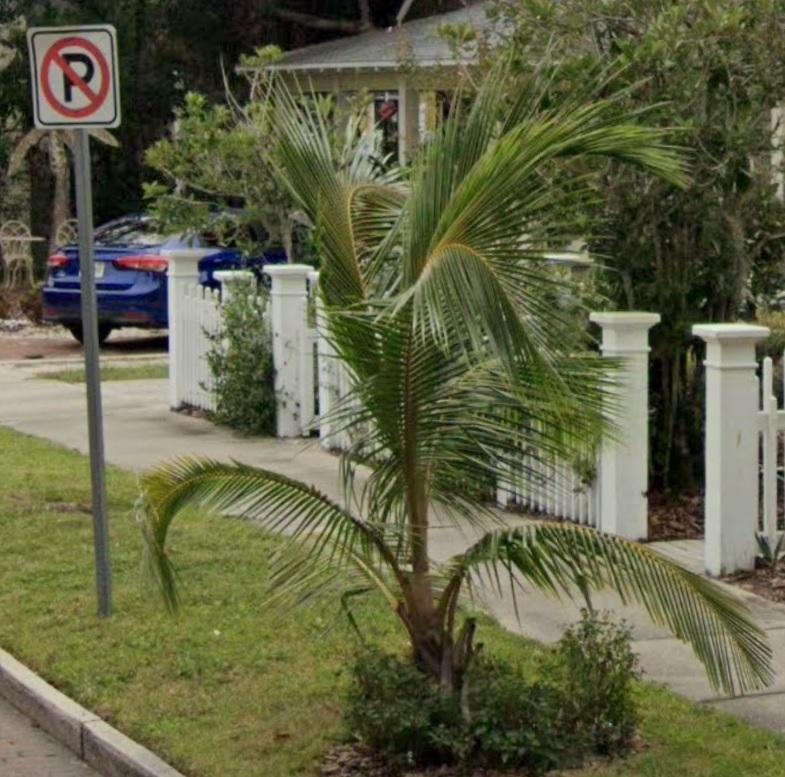 201810_HillAveCoconut.jpg.304e669384c02d769b7653ed0d58b122.jpg