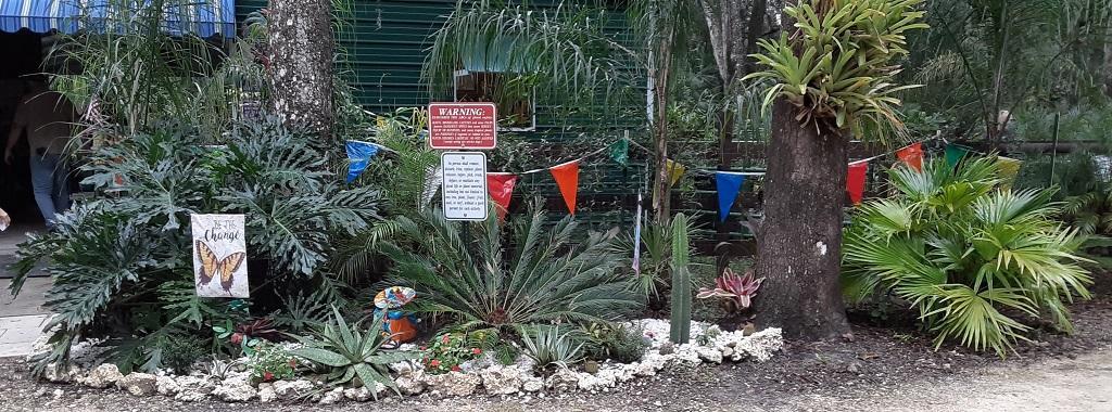 20231001_095311_GardenEntranceRight.jpg.44f3e2babf4b50fc0a71aaf71a36e533.jpg