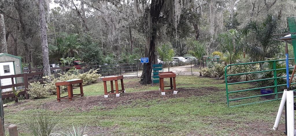 20231001_095839_ChildrensPottingArea.jpg.040cc68b8d5afbb927fe4660e6932b80.jpg
