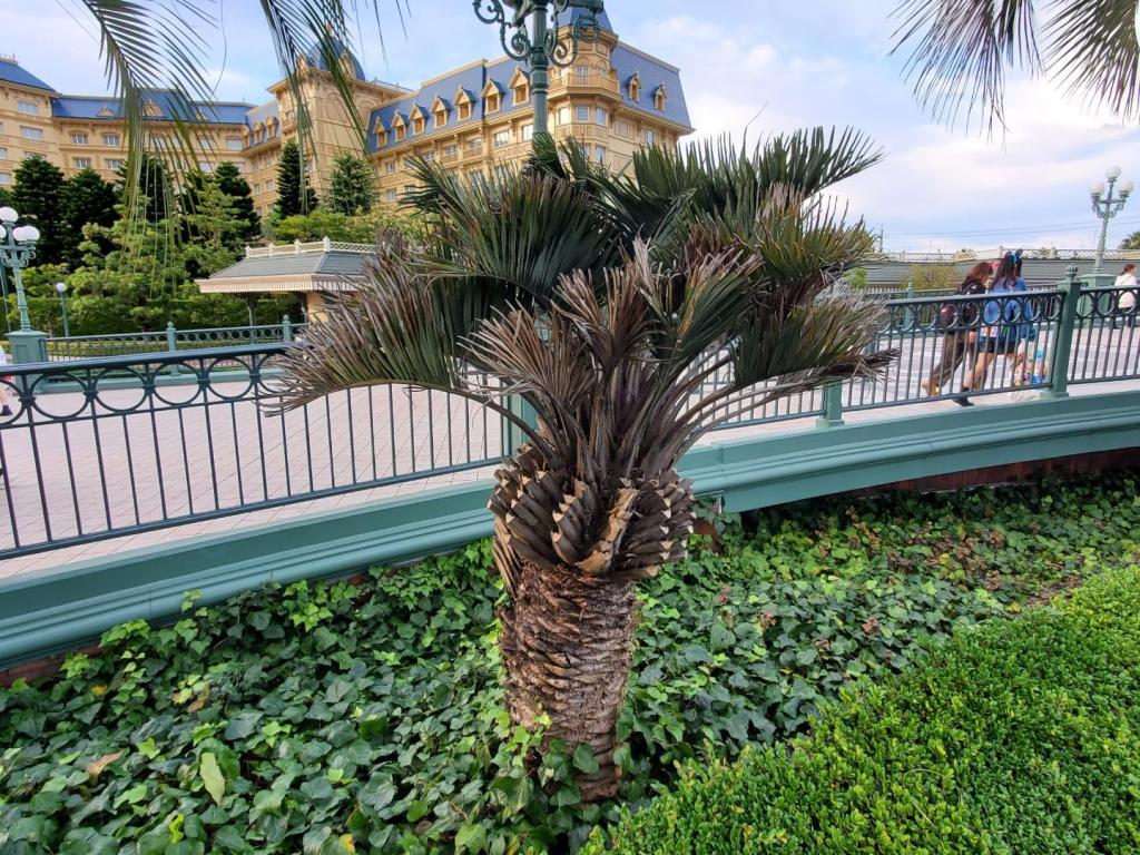 20231025_154558.jpg