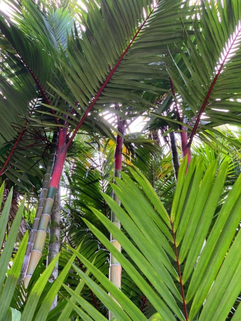 IMG_3893.jpeg