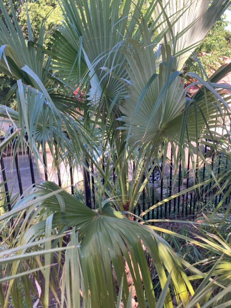 IMG_6637.jpeg