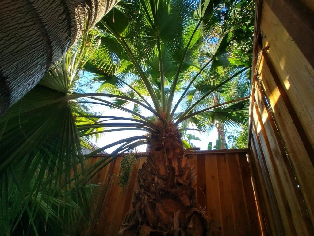 IMG_20231104_164743_HDR.thumb.jpg.06a80136c3045037634b65e4cac8dd60.jpg