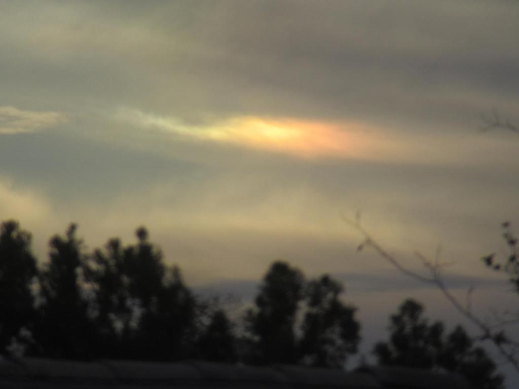 IMG_9022.thumb.JPG.c18e77546563b473cbd1a3dd8c3ca190.JPG