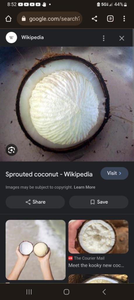 Screenshot_20231031_205217_Chrome.jpg