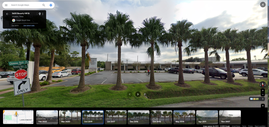 HoustonRibbonPalms.thumb.png.ea165a3501de0eb7be78523520eb417d.png