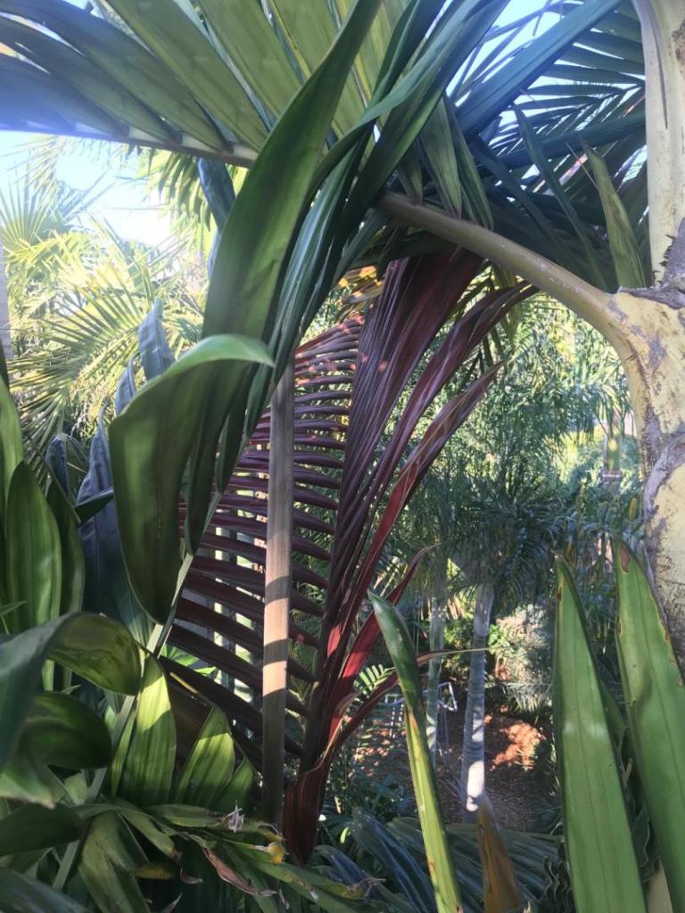 IMG_3759.thumb.jpeg.a05f045e65c270b63d906b81d556f17a.jpeg