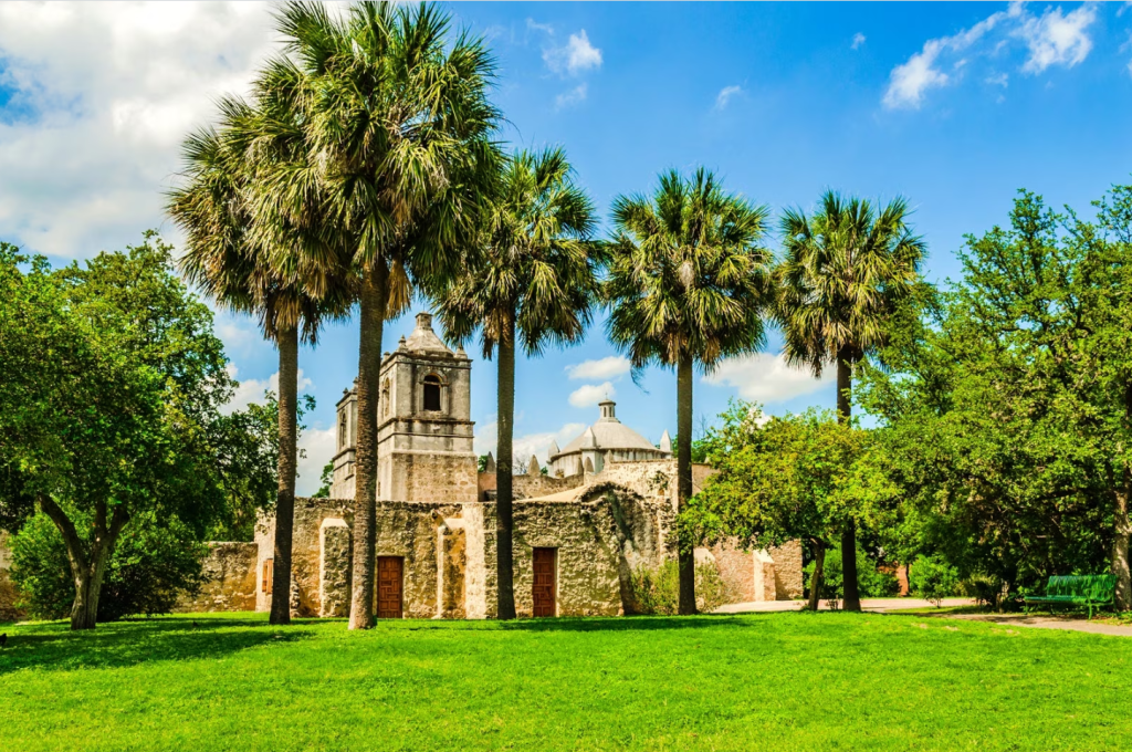 sanAnPalms.png