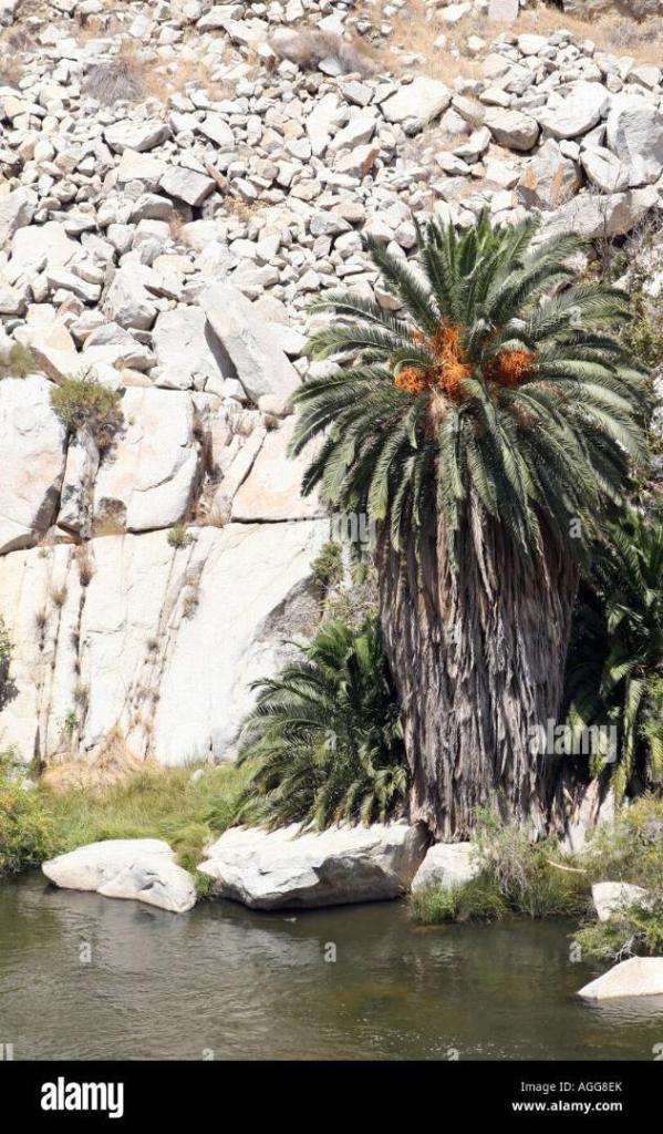 the-kern-river-canyon-AGG8EK.thumb.jpg.4206cfc33b379d7d117015cc594f2847.jpg