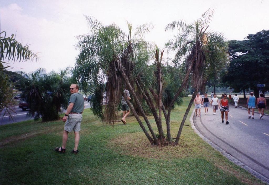 Brasil044.jpg