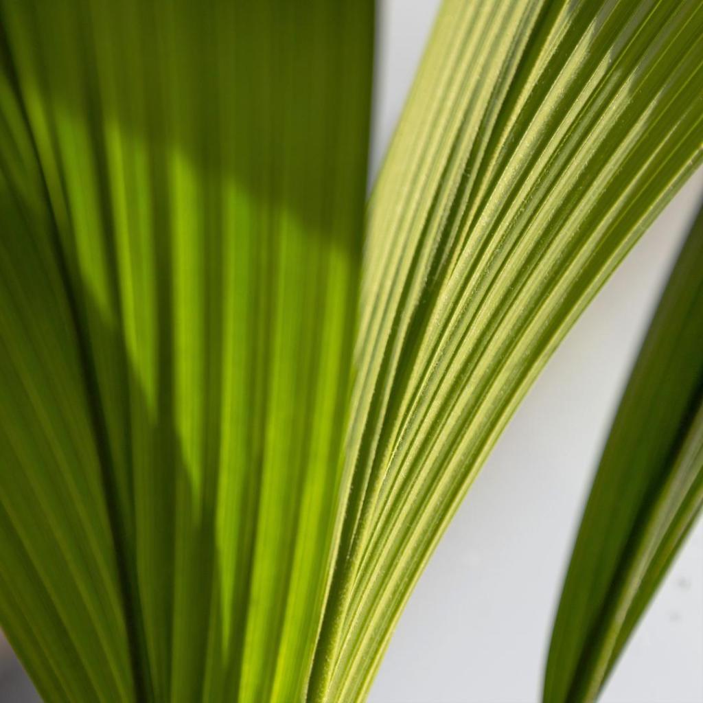 FDM_8554.jpg