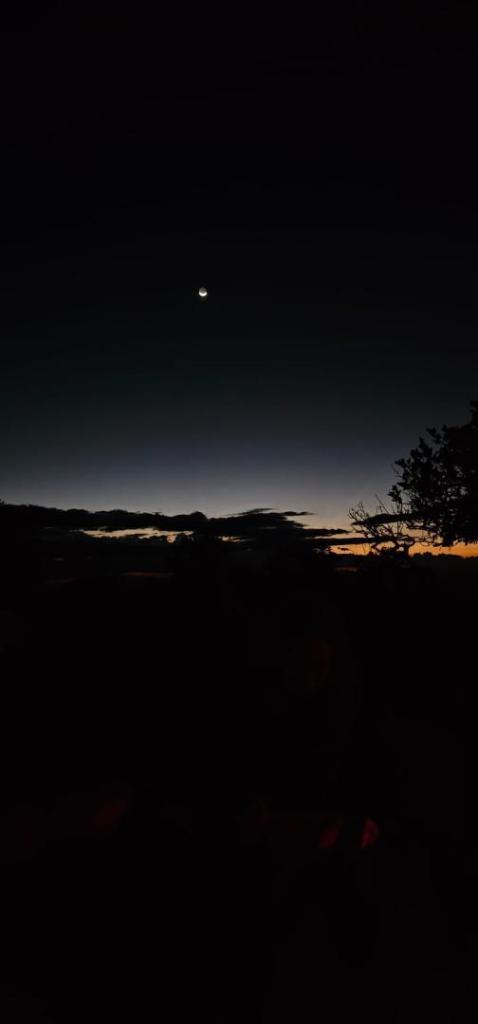 IMG-20240122-WA0212.jpg