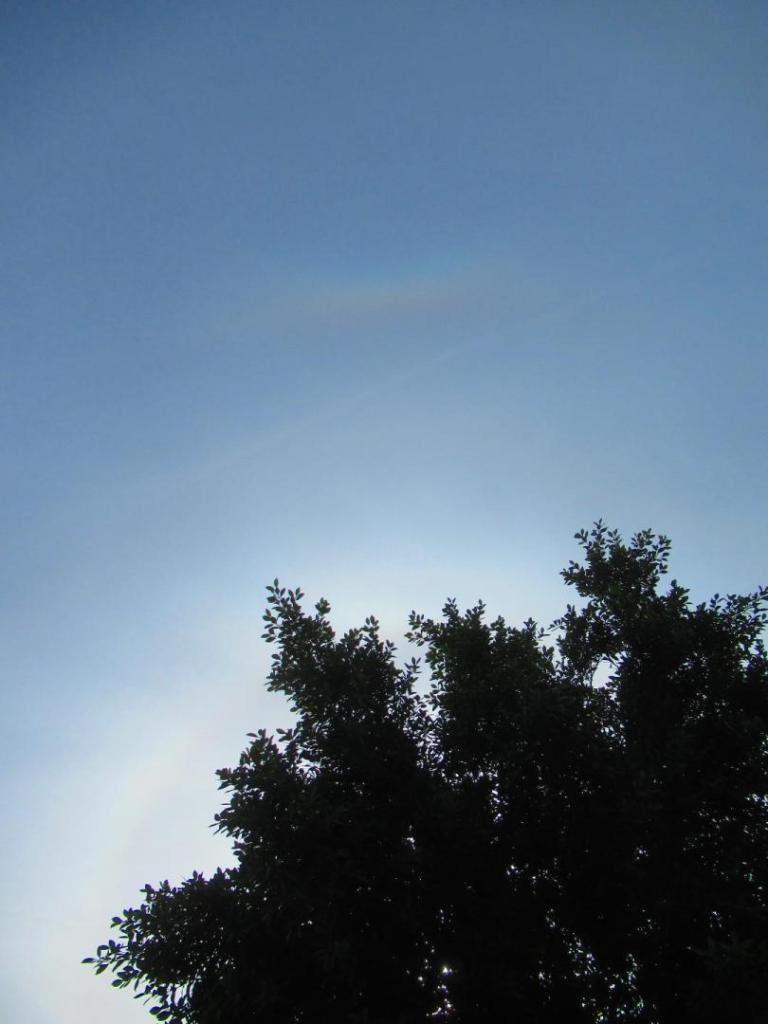 IMG_0688.thumb.JPG.90a156d4f4cad91f06e87b5ff8fd60de.JPG