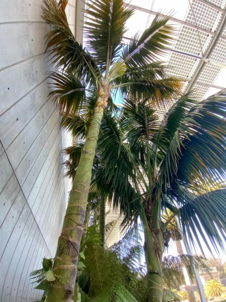 IMG_20240227_094318647_HDR.thumb.jpg.508abd0c01d86e2ba63780433ccdab7a.jpg